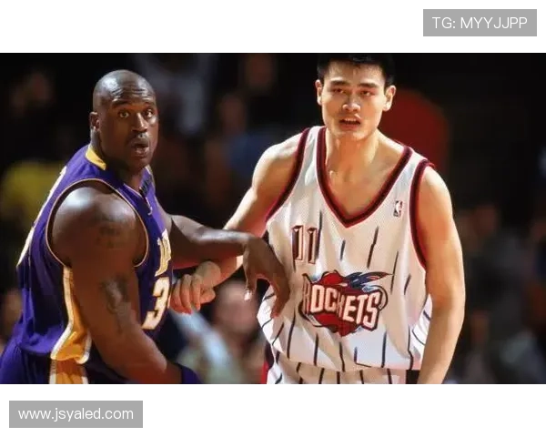 海耶斯姚明扣篮精彩瞬间回顾与分析，重温篮球场上的经典对决